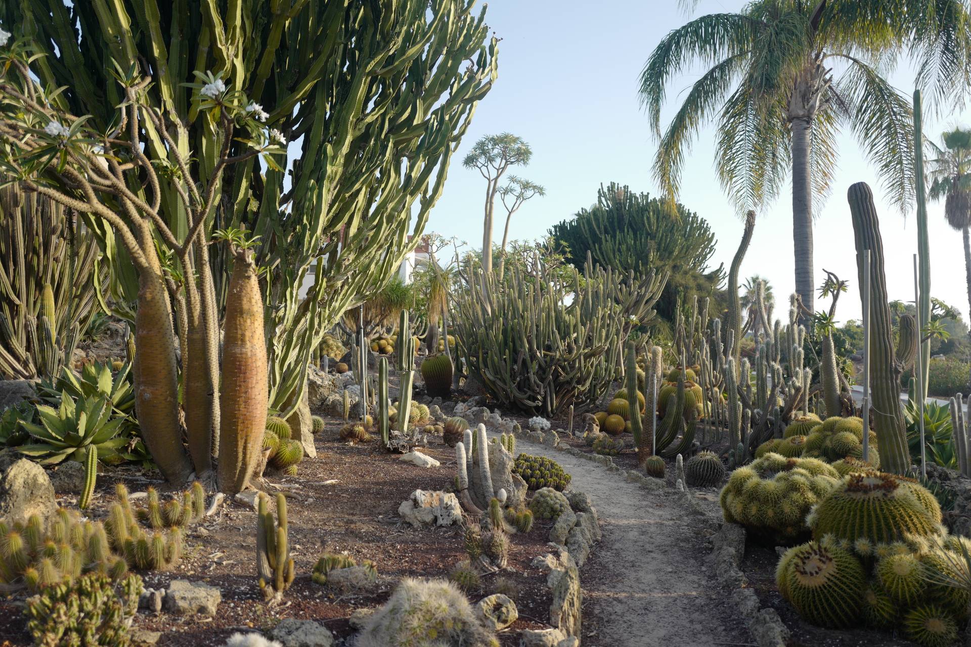 תמונה 5 מקיבוץ מעגן מיכאל